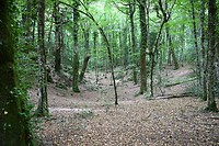 Natuurreservaat Gargano