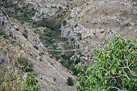 Matera