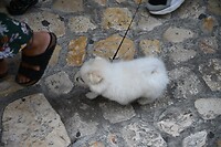 Matera