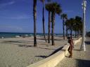 Palmbomen en strand, dat is top!