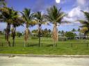 Miami Beach