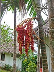 IMG_20220418_123243-01