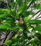 IMG_20220418_123719_edit_101226238643407-01