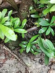 IMG_20220418_112236