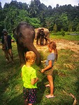 IMG_20220419_153102-01