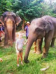 IMG_20220419_153249-01