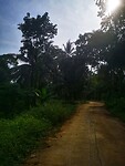 IMG_20220419_155939-01