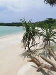 IMG_20220419_115617