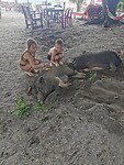 IMG_20220419_113536