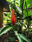 IMG_20220420_154846
