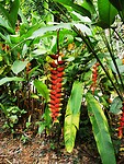 IMG_20220420_154840