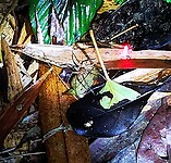 IMG_20220421_191715_edit_67317918042330