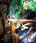 IMG_20220421_191716_edit_67305119262123