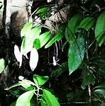 IMG_20220421_192011_edit_67275982504836