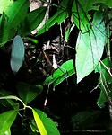 IMG_20220421_192019_edit_67259113215776