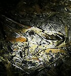 IMG_20220421_192221_edit_67241596845987