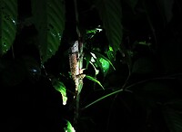 IMG_20220421_192414_edit_67201801706931