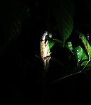 IMG_20220421_192357_edit_67220146898595