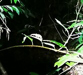 IMG_20220421_192508_edit_67183310357975