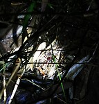 IMG_20220421_193150_edit_67143008123086