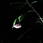 IMG_20220421_194028_edit_67126942410067