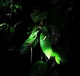 IMG_20220421_194641_edit_67108706991320