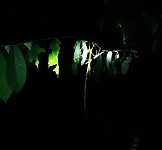 IMG_20220421_194739_edit_67087993330906