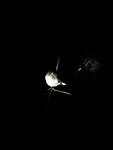 IMG_20220421_211919