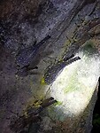 IMG_20220421_205909