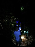 IMG_20220421_202709