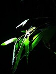 IMG_20220421_201130