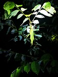 IMG_20220421_200226