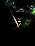 IMG_20220421_192504