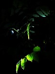 IMG_20220421_200220