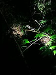 IMG_20220421_192511