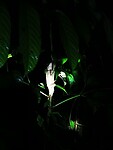 IMG_20220421_192401