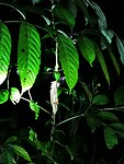 IMG_20220421_192351