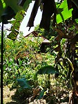 IMG_20220421_125043