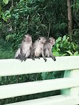 IMG_20220422_183248