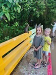 IMG_20220422_183140