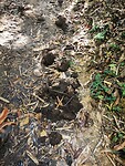 IMG_20220422_133728
