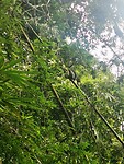 IMG_20220422_132623