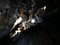 IMG_20220422_124257