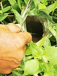 IMG_20220422_113936