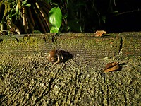 IMG_20220424_195639