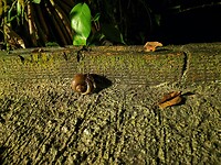 IMG_20220424_195634
