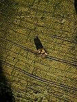 IMG_20220424_195553