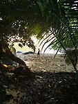 IMG_20220425_161730