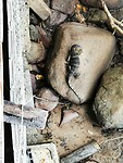 IMG_20220425_083839
