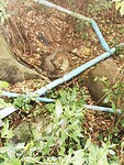 IMG_20220425_083547